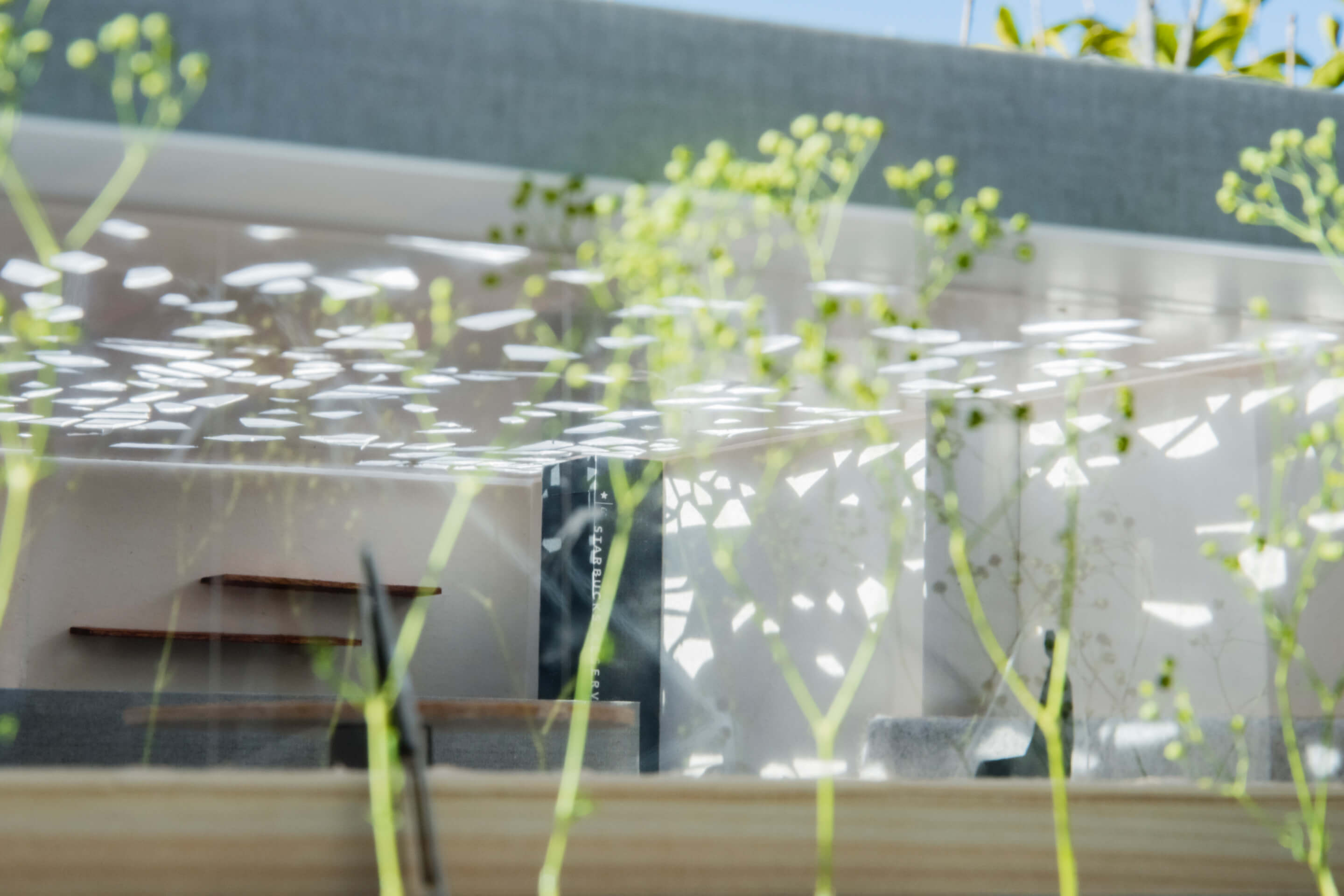 INT｜2年次｜Element 2｜商空間「人とともにあるカフェ／STARBUCKS」